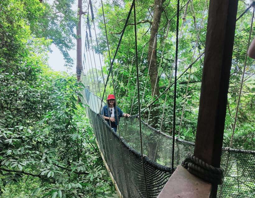 Kota Kinabalu: Poring Hot Spring, and Kinabalu Park Day Trip - What You Can Expect on the Tour
