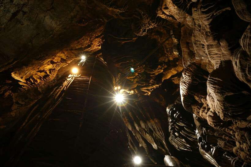Krabi: Mangroves and Khao Kanab Nam Cave Tour With Lunch - Itinerary Highlights