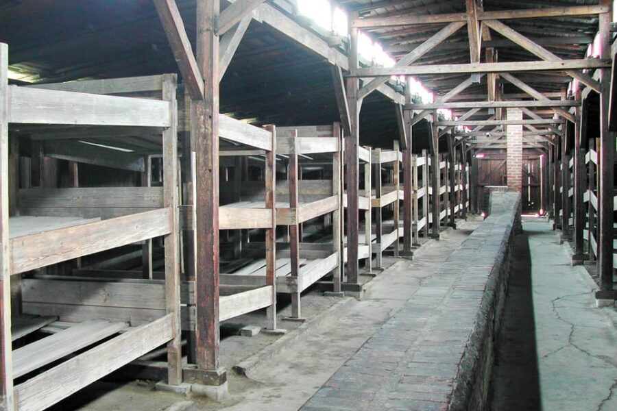 Krakow: Auschwitz-Birkenau Day Trip with Tour Leader - Overview of the Tour Experience