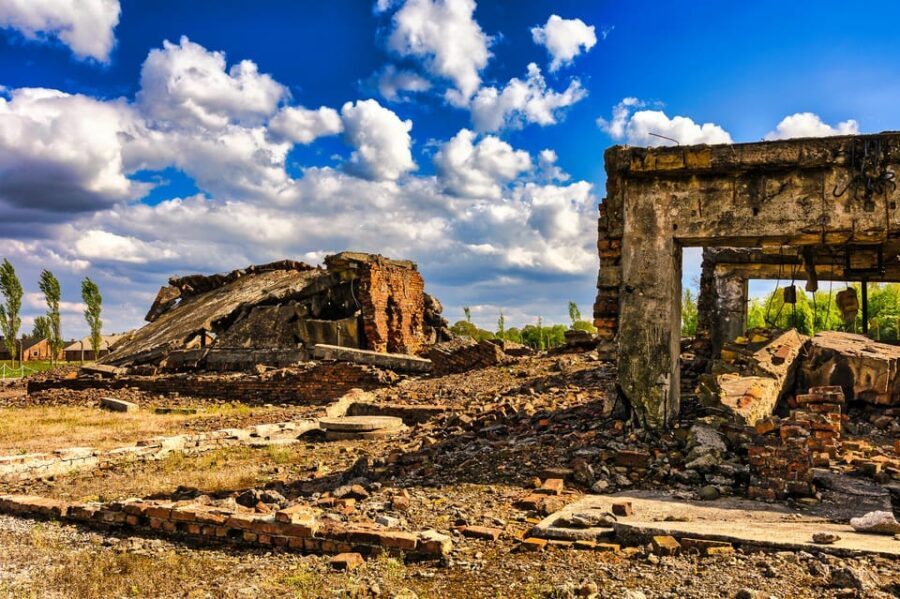 Krakow: Auschwitz-Birkenau Tour with Transport - The Transport: Comfort and Reliability
