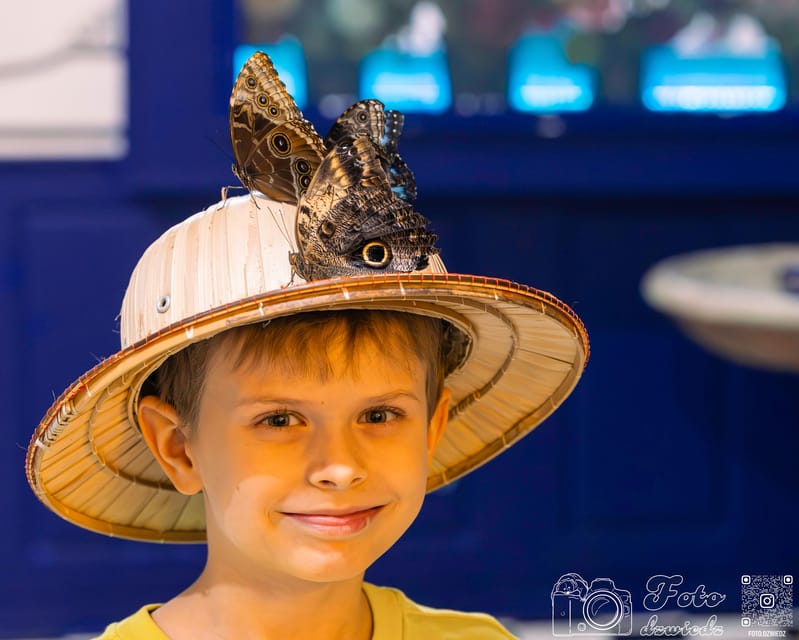 Krakow: Living Butterflies Museum ''House Of Attractions'' - The Itinerary and Experience Breakdown