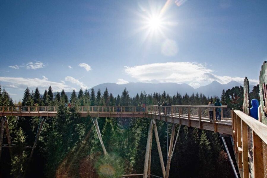 Krakow: Slovakia Treetop Walk & Zakopane Tour (Hotel Pickup) - Why This Tour Stands Out