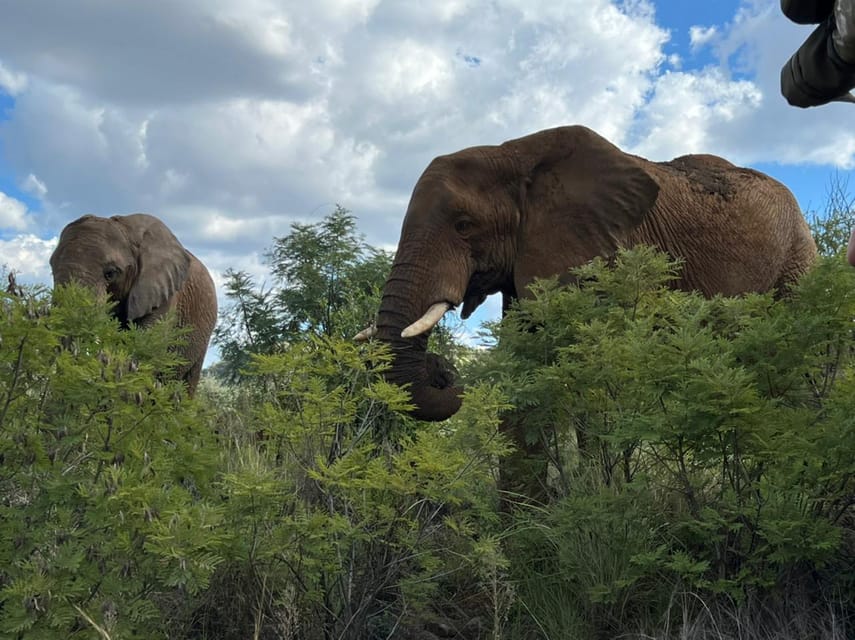 Kruger National Park: 4-Day Ultimate Safari Tour - Authentic Experiences & Authenticity Concerns