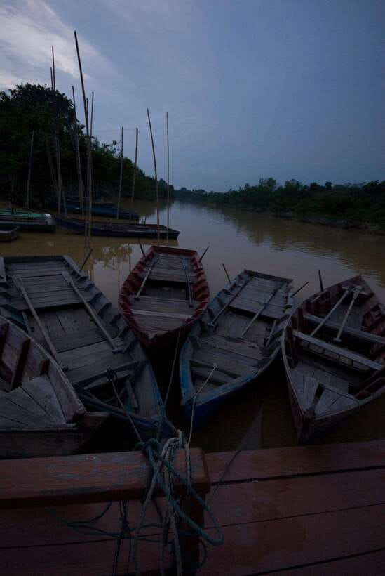 Kuala Selangor: Firefly and Blue Tears Tour - The Sum Up