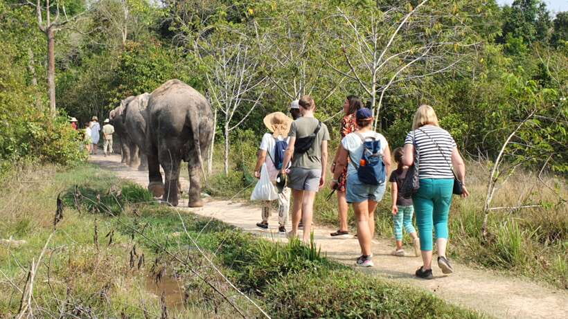 Kulen Elephant Forest and Banteay Srei Temple Tour - Final Thoughts: Is This Tour for You?