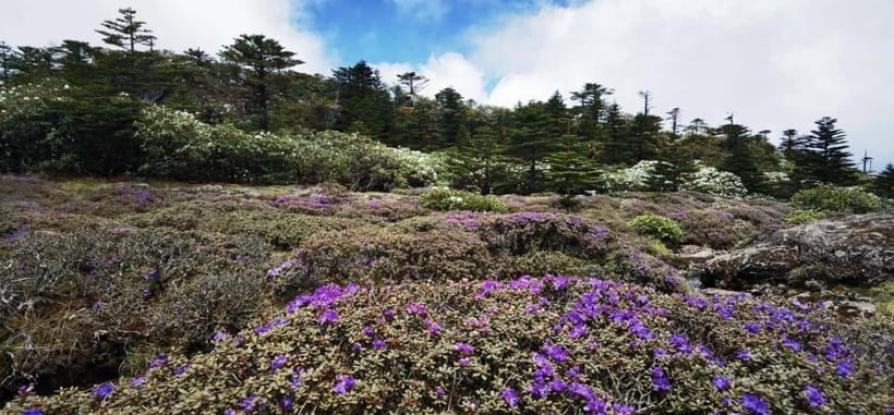 Kunming: Jiaozi (Sedan Chair) Snow Mountain Hiking Day Trip - Exploring the Itinerary