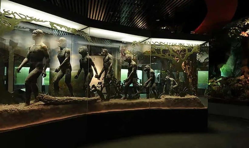 Kunming: Yunnan Provincial Museum Private Tour (Half Day) - Why This Tour Matters