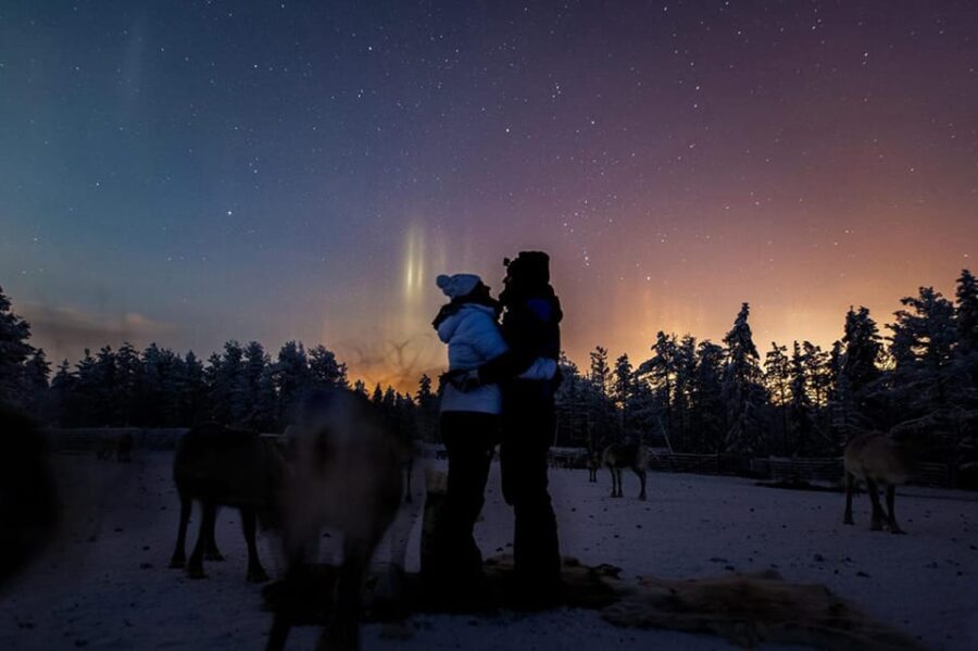 Kuusamo: Reindeer Farm Visit - Who Should Consider This Tour?