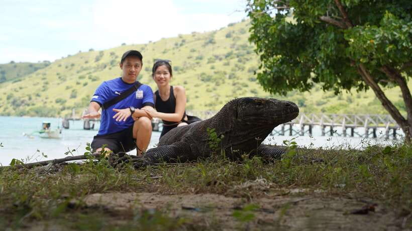 Labuan Bajo: Komodo National Park Full-Day Speedboat Tour - Analyzing the Value