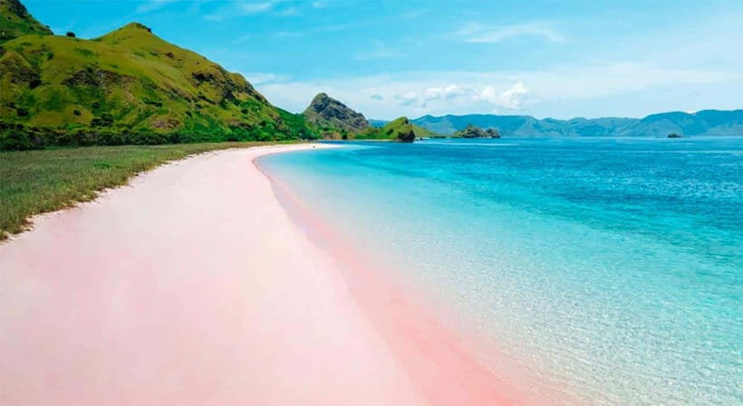 Labuan Bajo: Komodo Private Day Trip with Snorkeling - Key Points