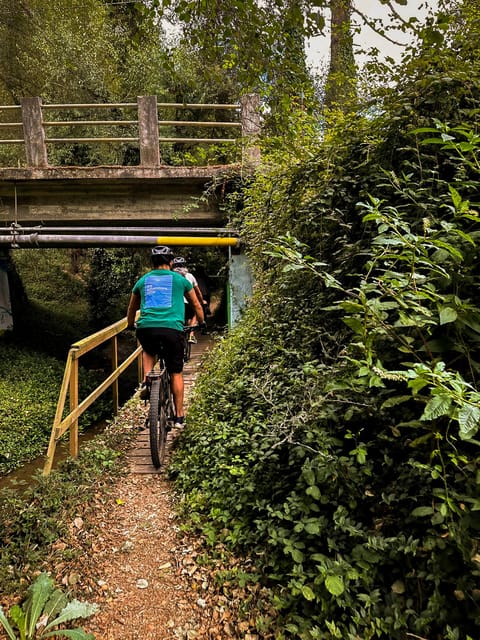 Lagoa da Ervedeira E-bike and Stand Up Paddle tour - What’s Included and What to Consider