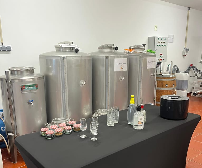 Lagos: Guided Gin Distillery Tour With Tasting at Alma Luz - Why Is This Tour Valuable?