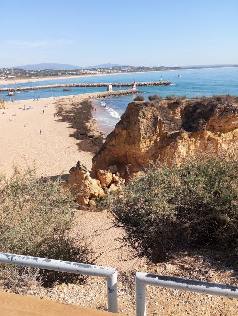 Lagos Portugal:Bike tour History and breathtaking views. - Who This Tour Is Perfect For