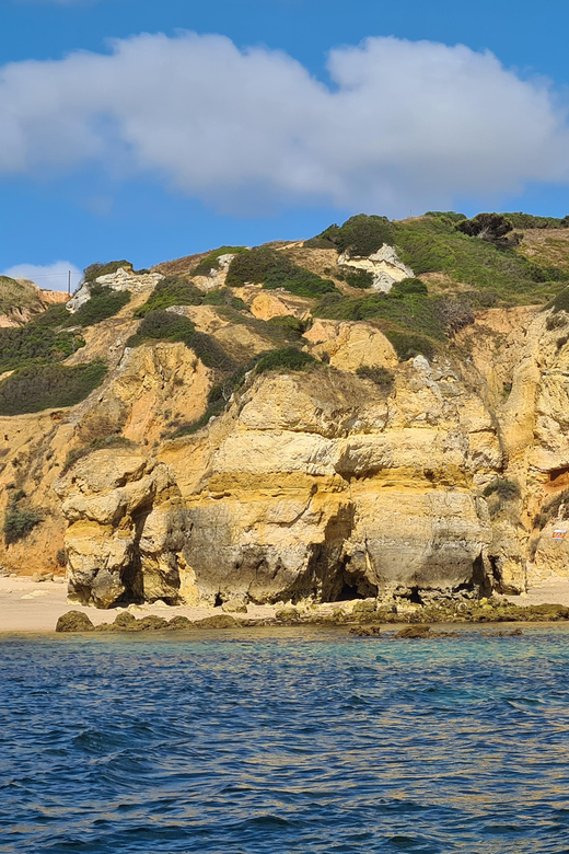 Lagos: Privat Trip up to 11 Pax to Grottos Ponta da Piedade - The Itinerary in Depth