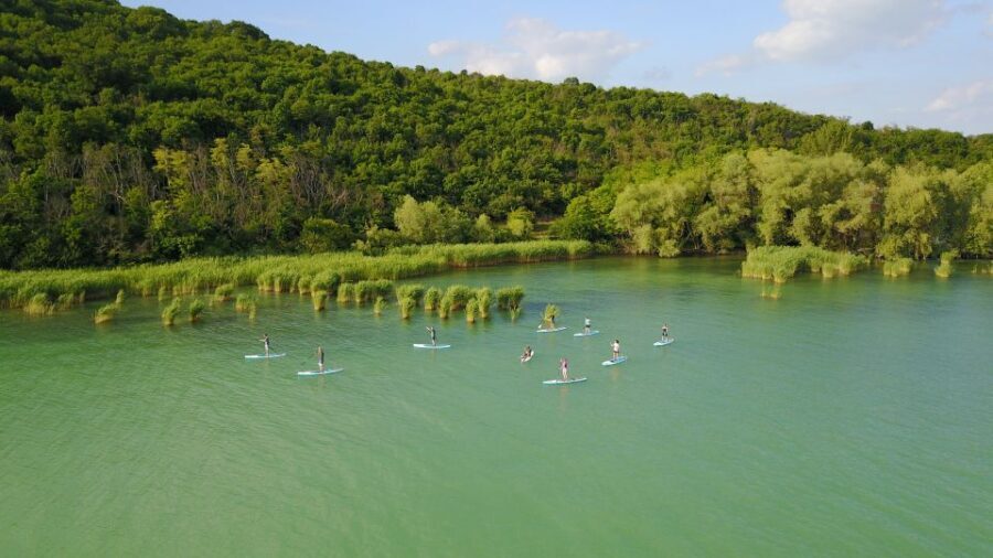 Lake Balaton: Paddle Board Tour of Tihany National Park - Who Will Love This Experience?