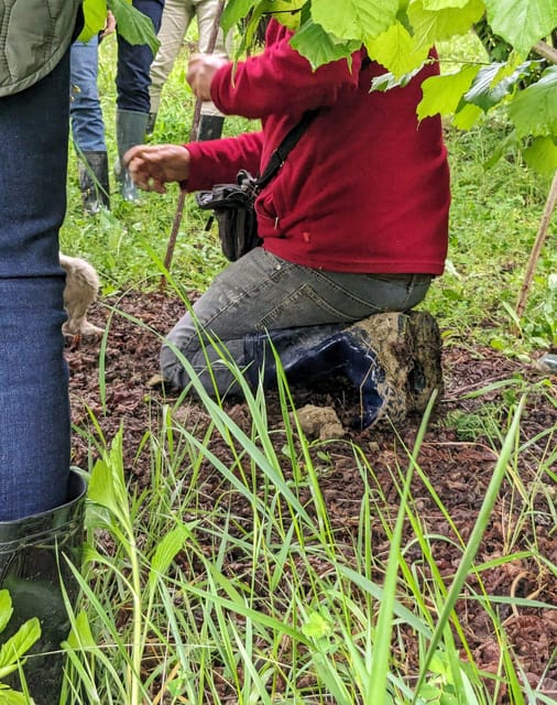 Langhe: Truffle Hunt and Wine-Tasting in a Cellar - What You Can Expect from the Tour