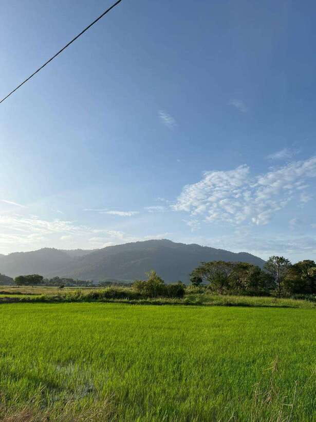 Langkawi: Countryside Bike Tour, Waterfall Swim & Dessert - The Waterfall and Swimming Break