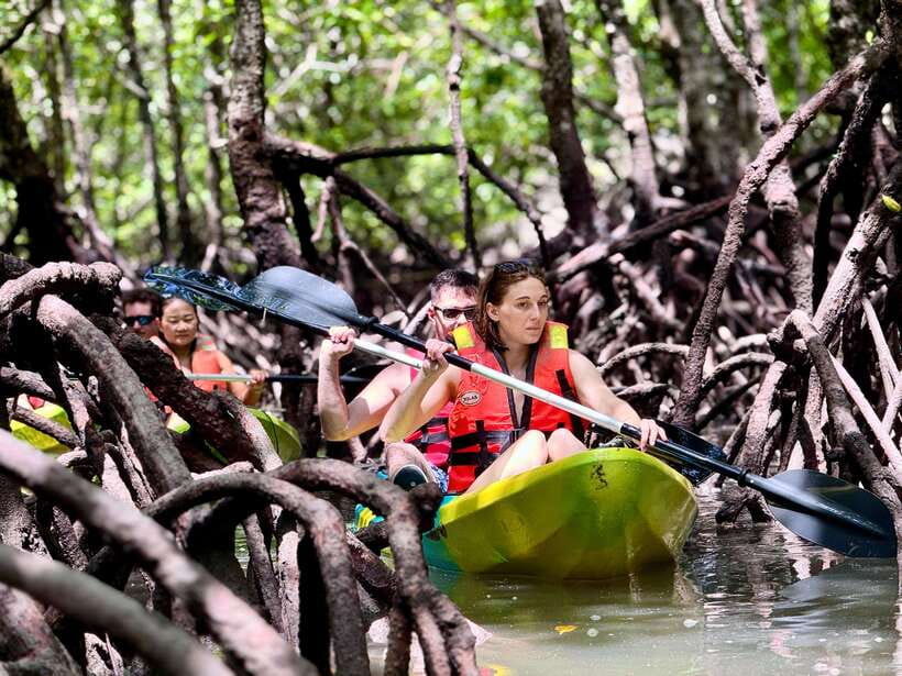 Langkawi: Mangrove Kayaking by Farly - Why Choose This Tour? Highlights That Stand Out