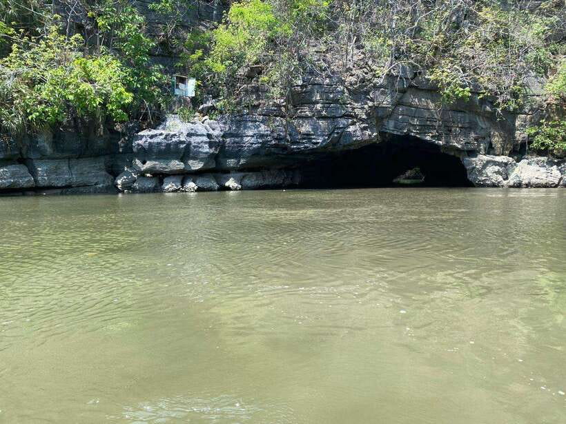 Langkawi Mangrove Monkey Package - An In-Depth Look at the Langkawi Mangrove Monkey Package