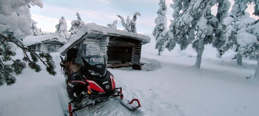 Lapland: Private VIP 7h Snowmobile Tour with Local Guide - What to Expect from the Tour