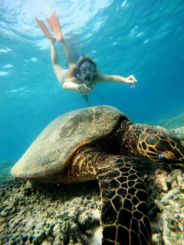 Leaves From Lombok, Full Day Explore 3 Gilis And Snorkeling - What’s Included & What’s Not