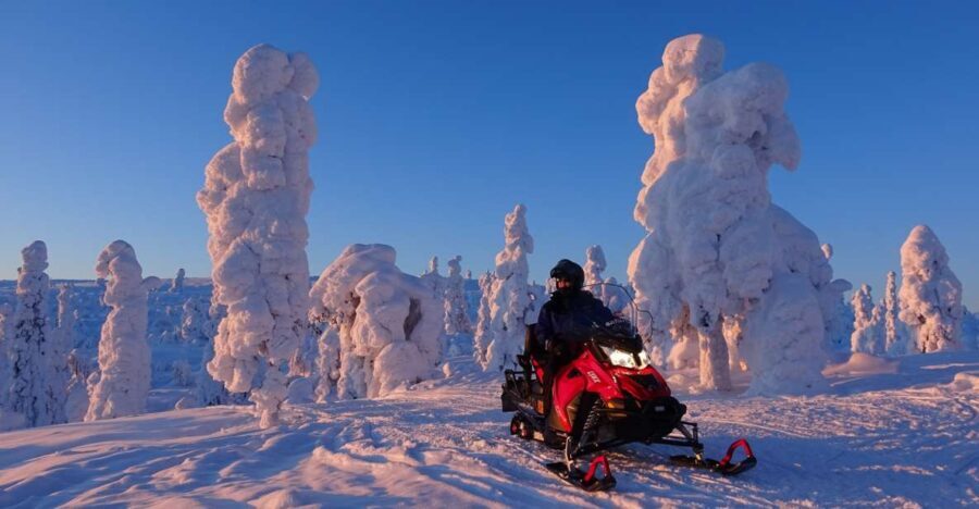 Levi: Evening Snowmobile Safari - An Immersive Adventure in Levi’s Wilderness