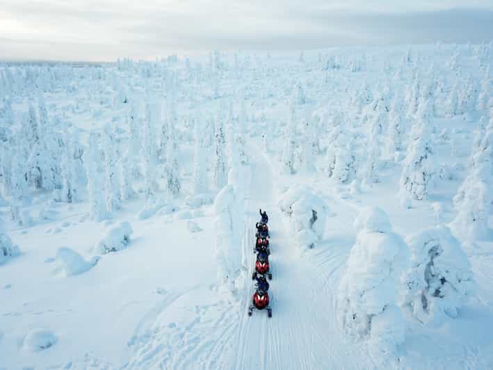 Levi: Forest Snowmobile Safari - What to Expect on the Levi Forest Snowmobile Safari