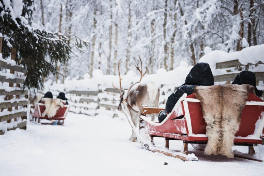Levi: Husky and Reindeer Farm Visit with Snowmobiling - The Itinerary Breakdown