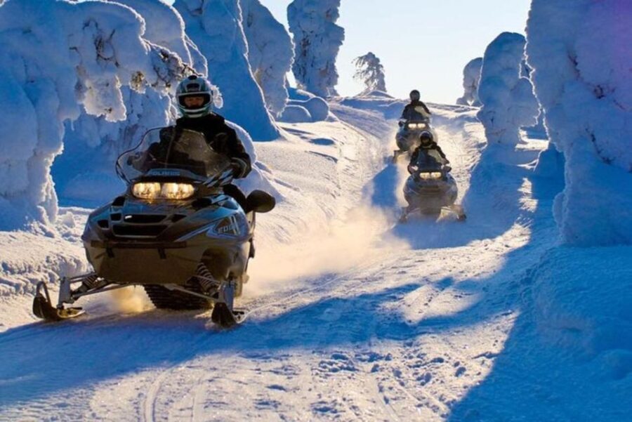 Levi: Lapland Family Snowmobile Safari - An Unforgettable Arctic Adventure  