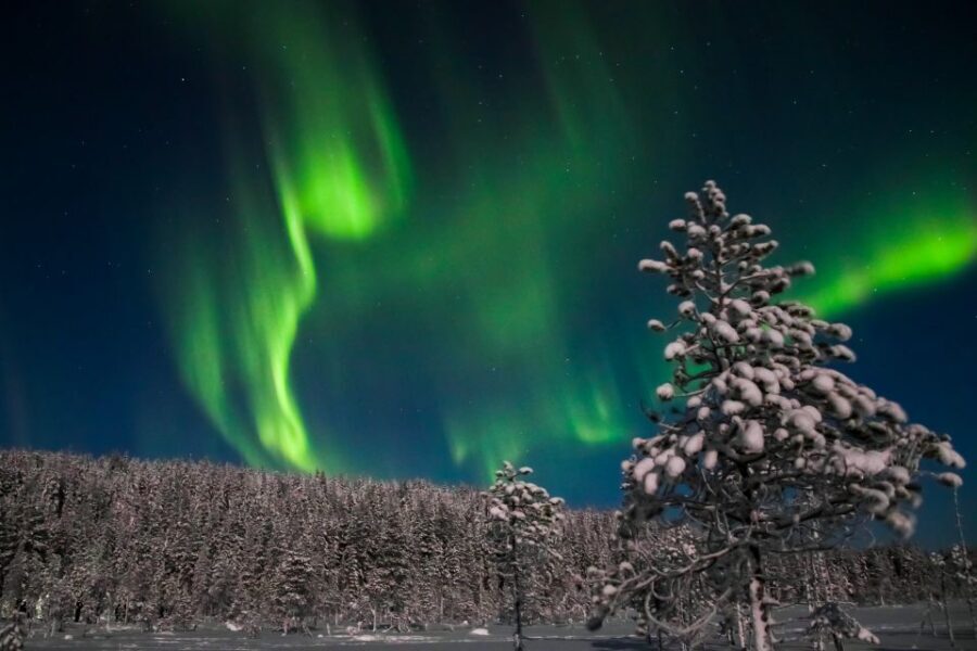 Levi: Northern Lights Campfire - The Search for the Northern Lights