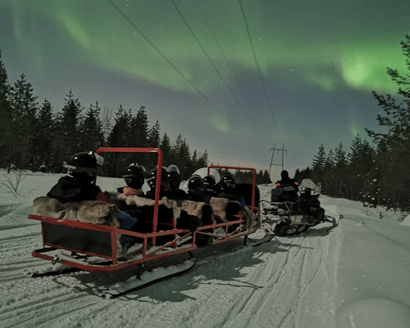 Levi: Northern Lights Sledge Ride - Who Should Consider This Tour?