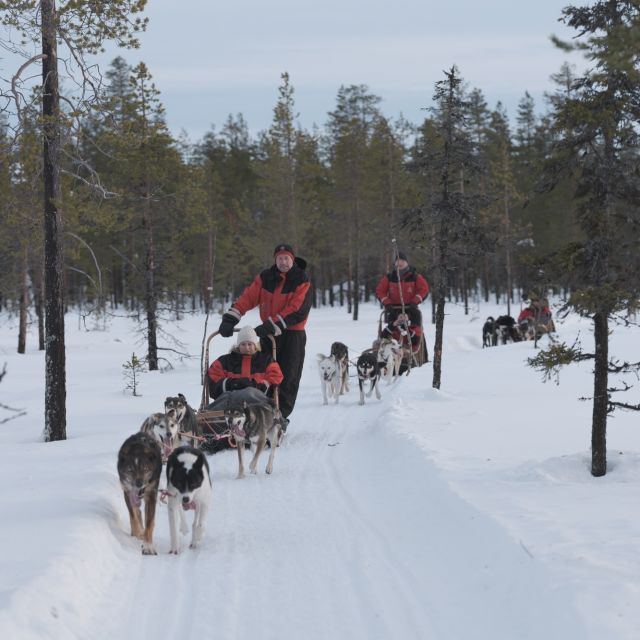 Levi Polar Lights Tours: Reindeer and Husky Taster - The Itinerary Breakdown