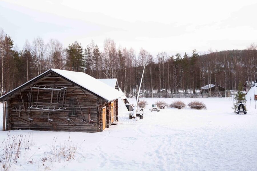 Levi: Reindeer Farm E-Fatbike Safari - Who Will Love This Experience?