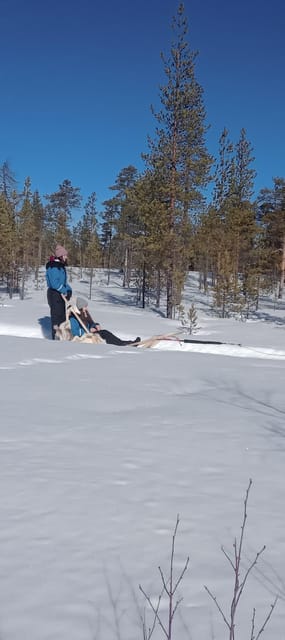 Levi: Self-Drive 5 KM Husky Sledding Experience - Detailed Breakdown of the Itinerary