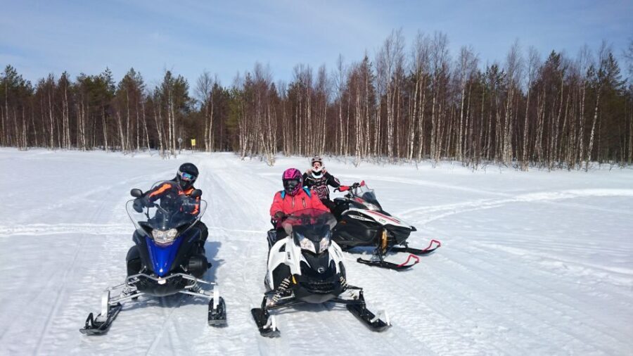Levi: Winter Highlights Tour with Snowmobiling - The Scenic Transport and Farm Visits