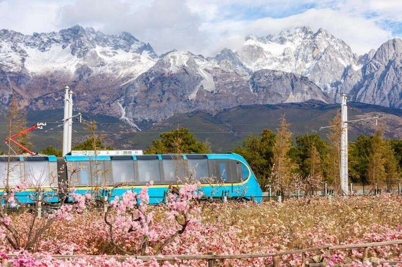 Lijiang: Jade Dragon Snow Mountain with Scenic Train Tour - What Makes This Tour Stand Out