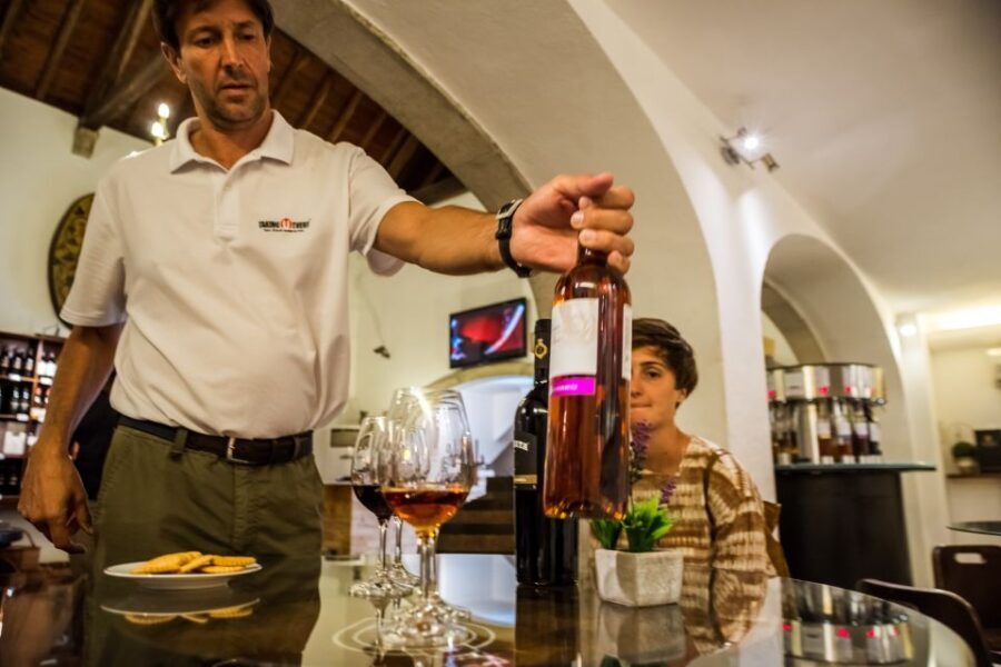 Lisbon Private Setúbal Region Wine Tasting Tour - Itinerary Breakdown: What to Expect