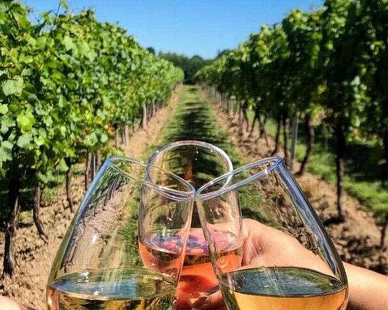 Lisbon: Setúbal, Arrábida and Azeitão Private Wine Tour - Pricing and Value