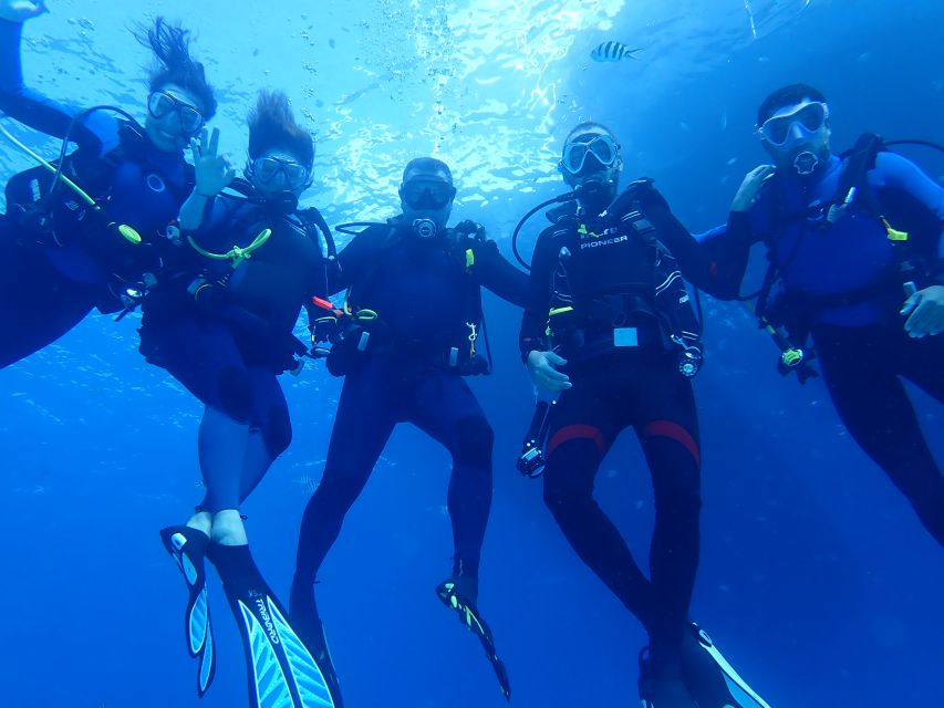 Lisbon: Try Dive in Arrábida Marine Reserve Setubal Sesimbra - The Itinerary: What to Expect