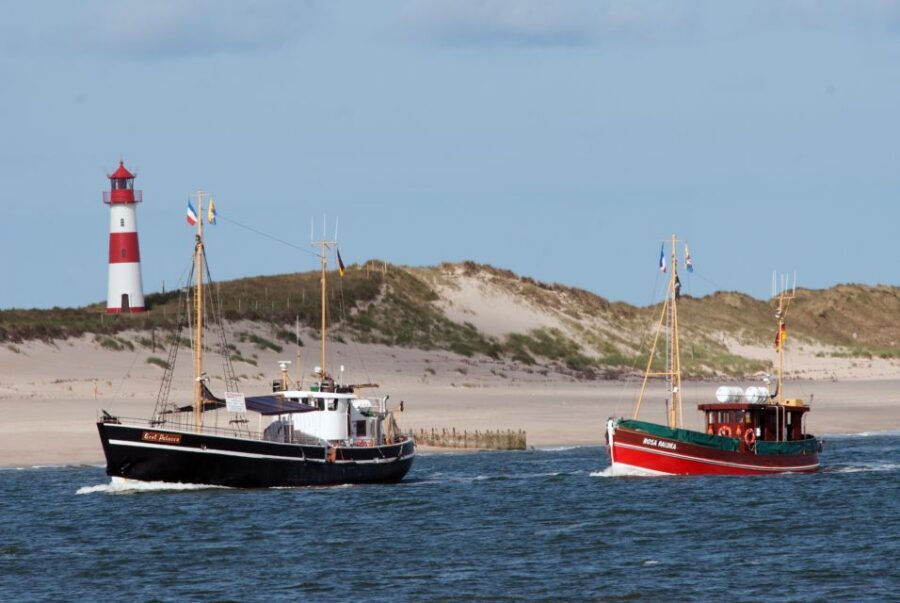 List/Sylt: Guided Seal-Watching Cruise on a Rustic Boat - What to Expect During the Cruise