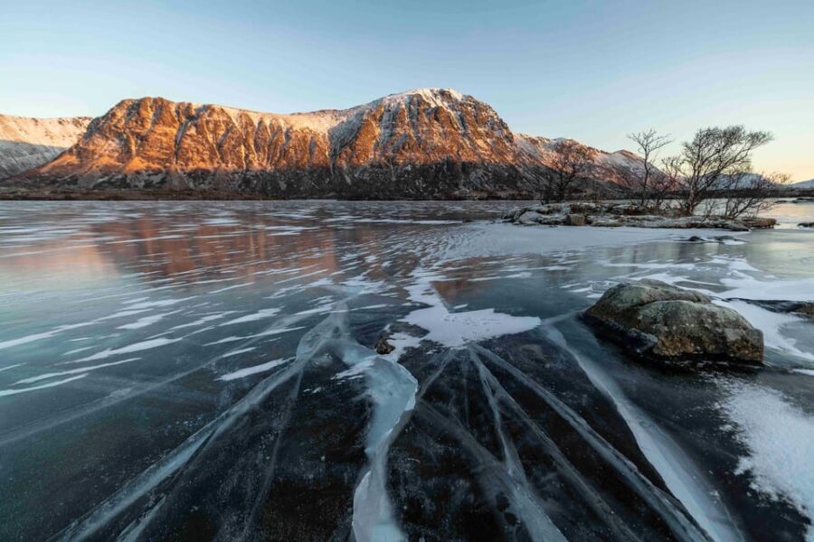 Lofoten: Half-Day Guided Tour with Photo Stops - Highlights of the Tour