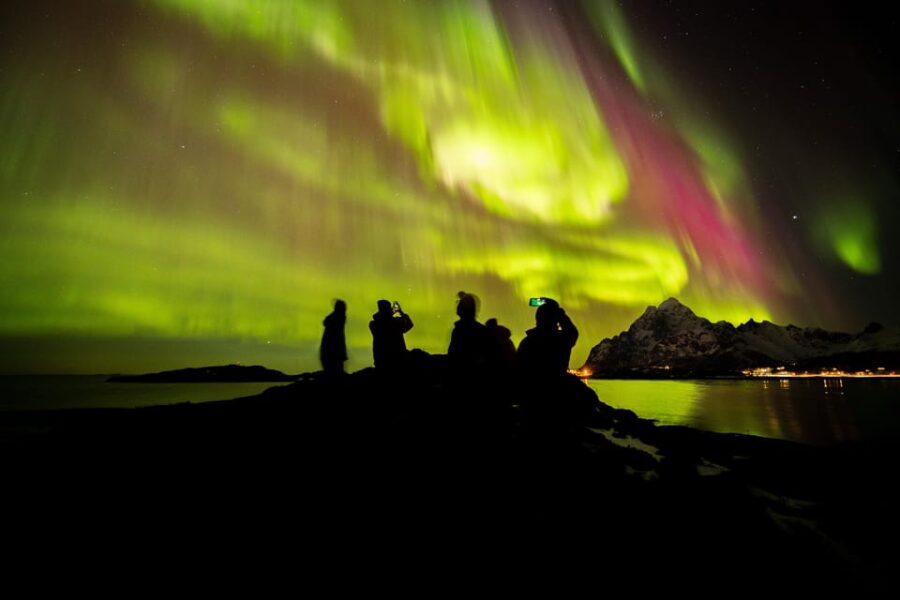 Lofoten: The Aurora Jæger  Northern Lights Hunt with Local - The Itinerary and What to Expect