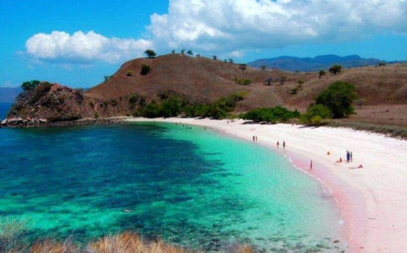 Lombok: 1-Day Pink Beach Tour in East Lombok - Final Thoughts: Who Should Consider This Tour?