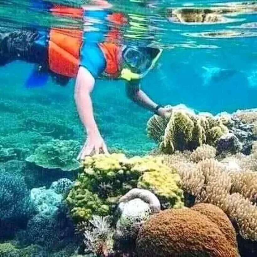 Lombok: Gili Islands Glass Bottom Boat Tour with Snorkeling - What Makes This Tour Stand Out