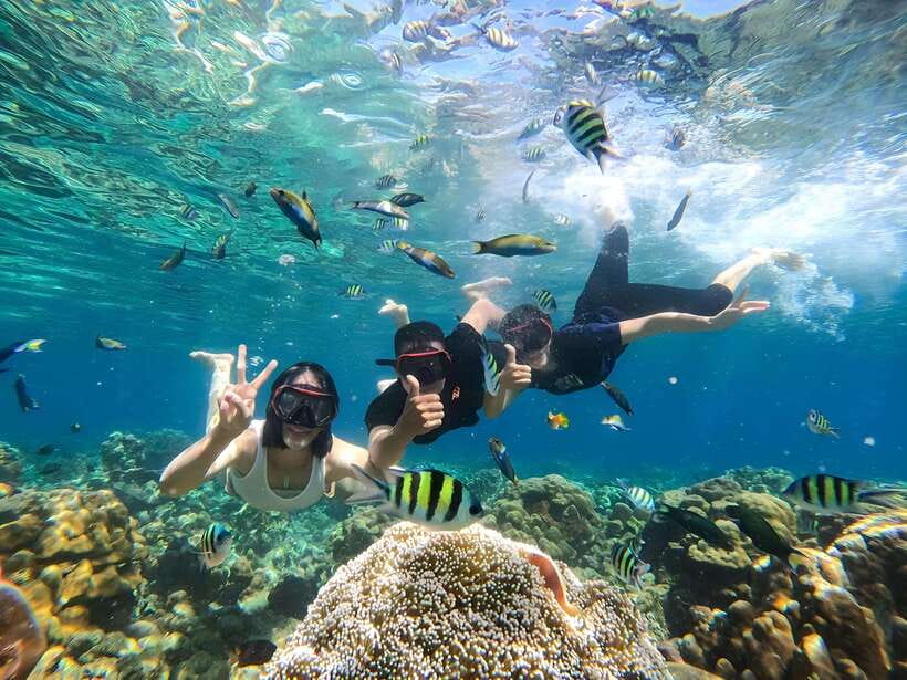 Lombok: Gili Nanggu, Sudak and Kedis Private Snorkeling Tour - The Itinerary: What to Expect