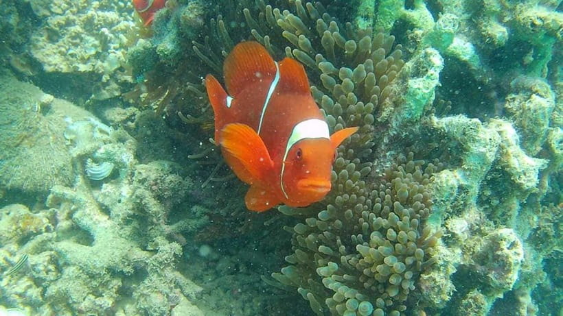 Lombok: Gili Nanggu, Sudak, and Kedis Snorkeling Tour - Practical Details & What to Bring