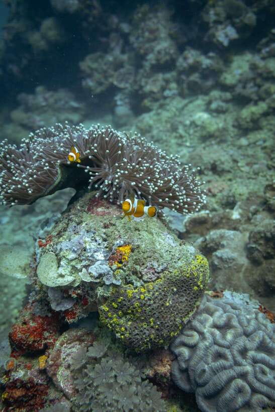 Lombok: Open Water Diver Course - Why This Course Stands Out