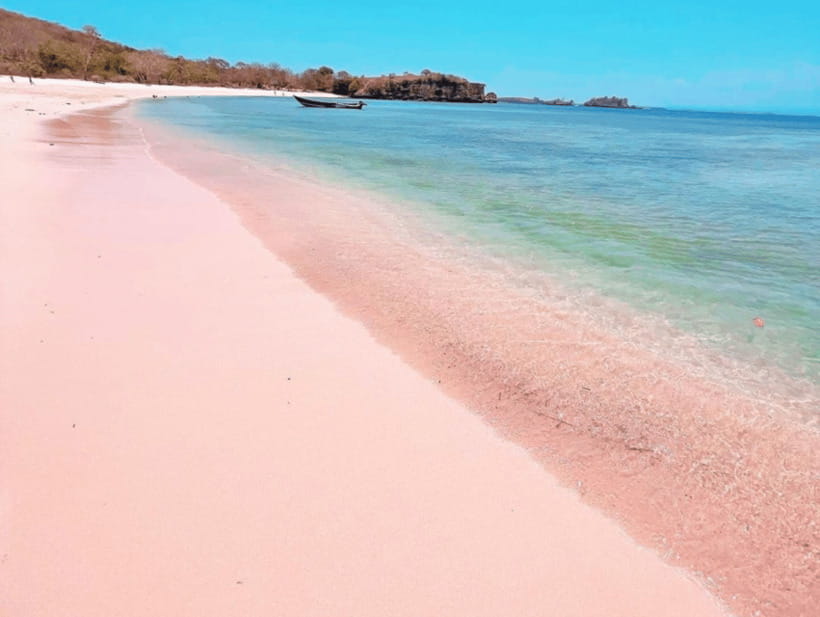 Lombok: Pink Beach Snorkeling and Picnic Tour Fullday - Who Should Consider This Tour?