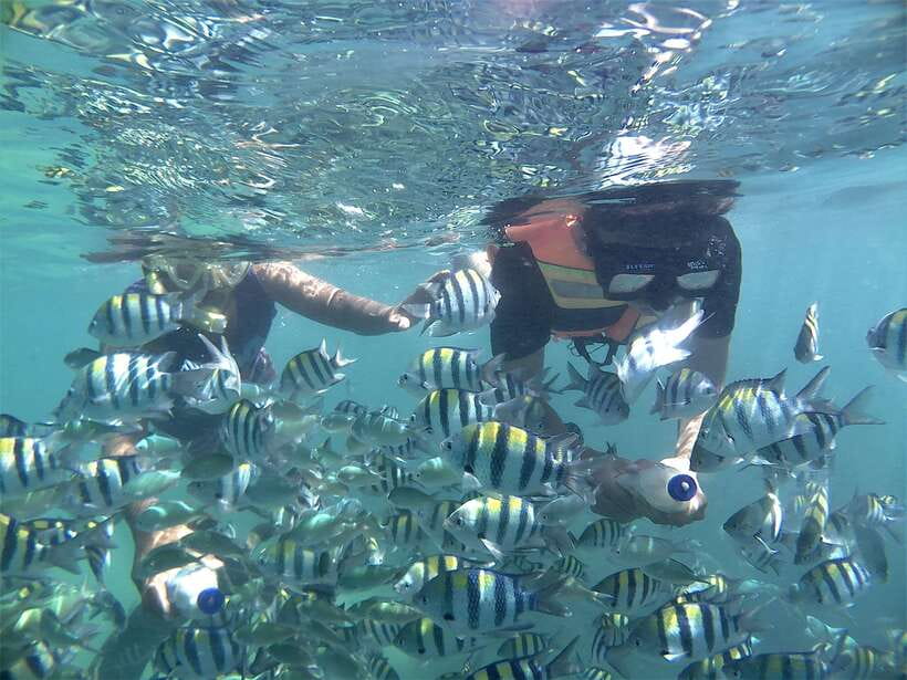 Lombok: Snorkeling Trip Gili Nanggu, Sudak & Kedis - What’s Included and What’s Not