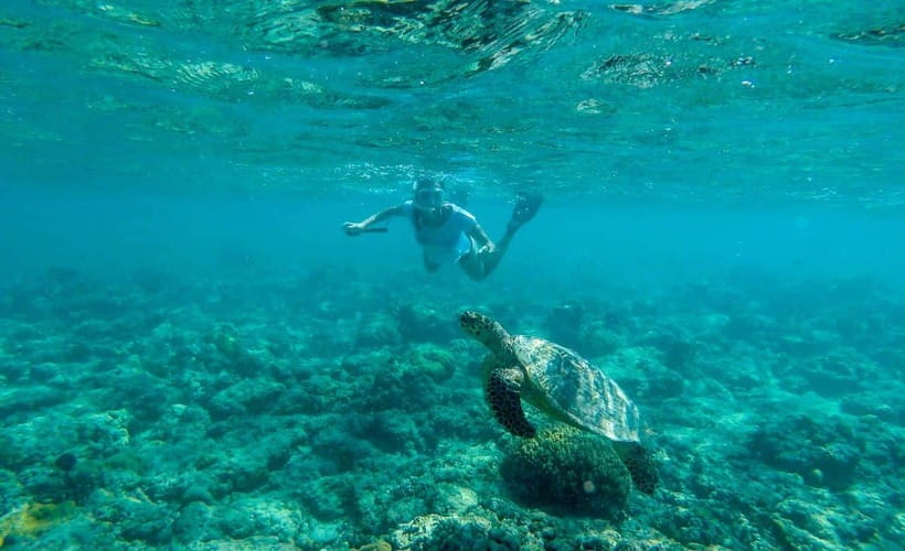 Lombok Tour and Snorkeling: Gili Kedis, Nanggu, and Sudak - What to Expect on the Tour
